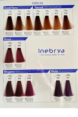 Палітра Кольорів INEBRYA BIONIC COLOR, фарбкарта